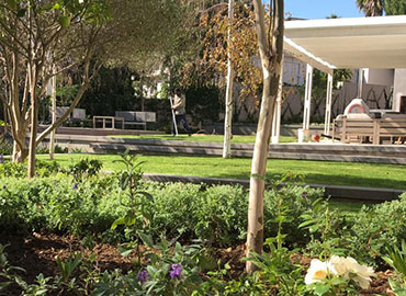 Petro Landscaping