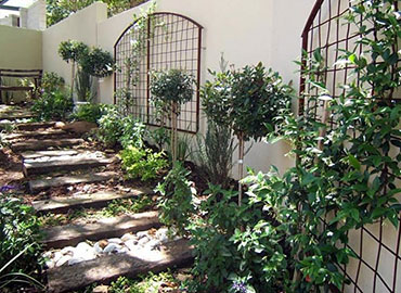 Petro Landscaping