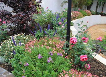 Petro Landscaping