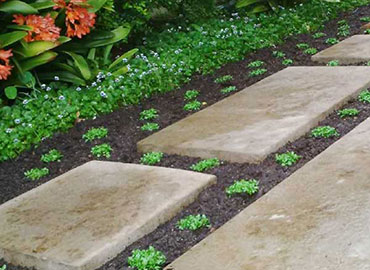 Petro Landscaping