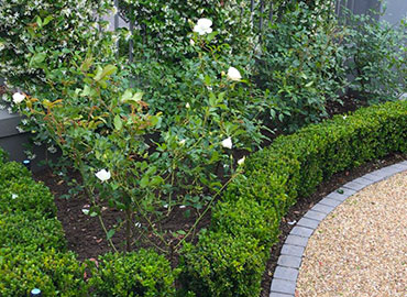 Petro Landscaping